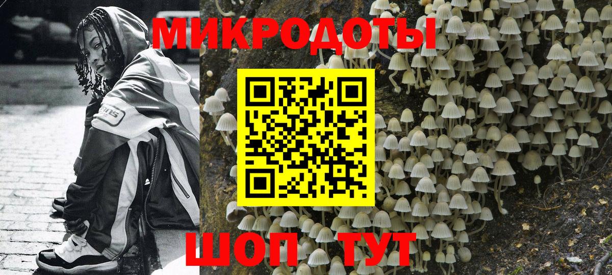 Псилоцибиновые грибы мицелий Воскресенск